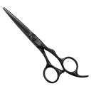 シザースワークス494(5.75インチ)美容師 カットハサミスキバサミ 美容師ハサミ すきばさみ ヘアカット カットハサミ 散髪はさみ おしゃれ コンパクト スキハサミ 子ども 理美容 散髪用 理容師 美容師向け プロ用 母の日 父の日 敬老の日 プレゼント ギフト