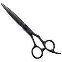 シザースワークス495(6.25インチ)美容師 カットハサミスキバサミ 美容師ハサミ すきばさみ ヘアカット カットハサミ 散髪はさみ おしゃれ コンパクト スキハサミ 子ども 理美容 散髪用 理容師 美容師向け プロ用 母の日 父の日 敬老の日 プレゼント ギフト