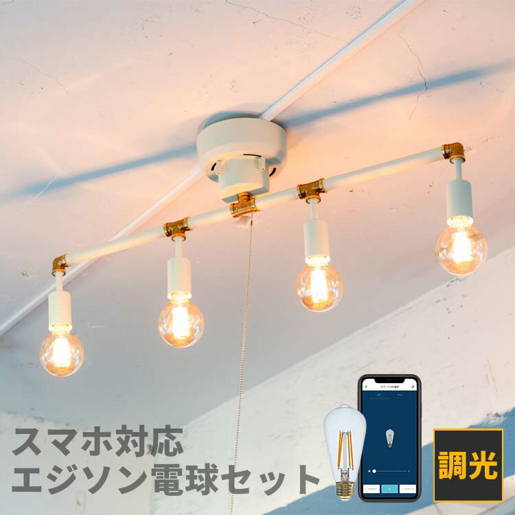 シーリングライト 4灯 シュナール＋TOLIGO エジソン電球セット 天井照明 直付け 照明器具 北欧 シンプルリビング照明…