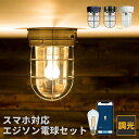シーリングライト 1灯 モアナ+TOLIGO エジソン電球セット 照明 照明器具 インテリアライト トイレ シーリングライト 内玄関照明 北欧 LED電球対応 電気 天井照明 直付け レトロ 小型涼 階段 廊下 リビング照明 ルームライト ダイニング照明 寝室 おしゃれ照明 玄関ライト