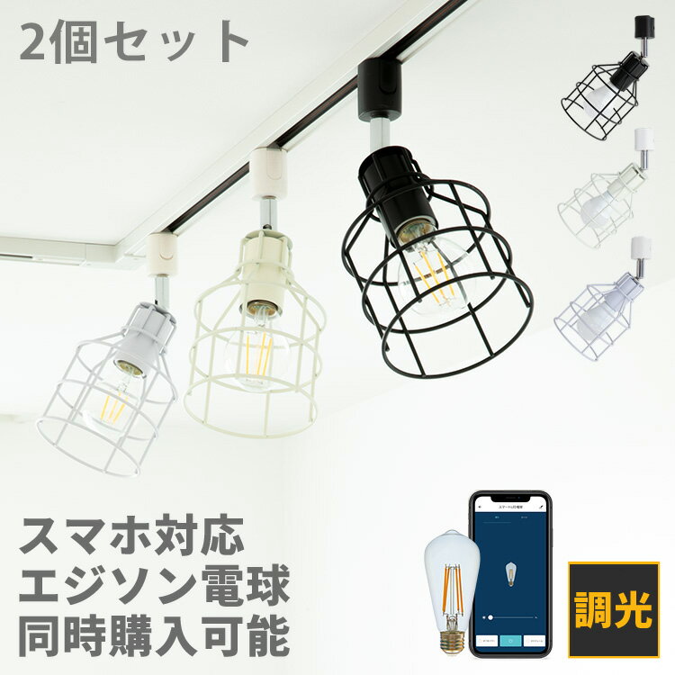 2個セット スポットライト 1灯 リー�