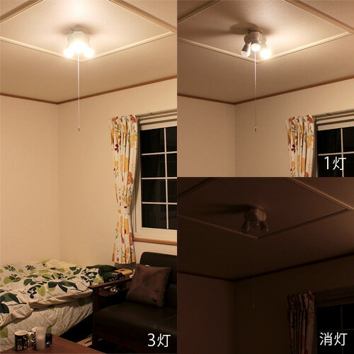 シーリングライト 3灯 ブラント[BLUNT]PKD-0201|照明器具 灯具 天井照明 間接照明 ダイニング用 食卓用 リビング用 居間用 プルスイッチ 北欧 テイスト おしゃれ 内玄関 寝室 廊下 クローゼット インテリア ライト 電気 LED シーリング 子供部屋 テレワーク