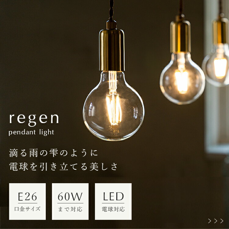 ペンダントライト 1灯 regen レーゲン schon シェーン【ダクトレール用 照明 天井照明 照明器具 おしゃれ ダイニング用 キッチン トイレ 階段 玄関 内玄関 天井 電気 北欧 カフェ風 led かわいい ペンダント ライト テレワーク 玄関ライト】