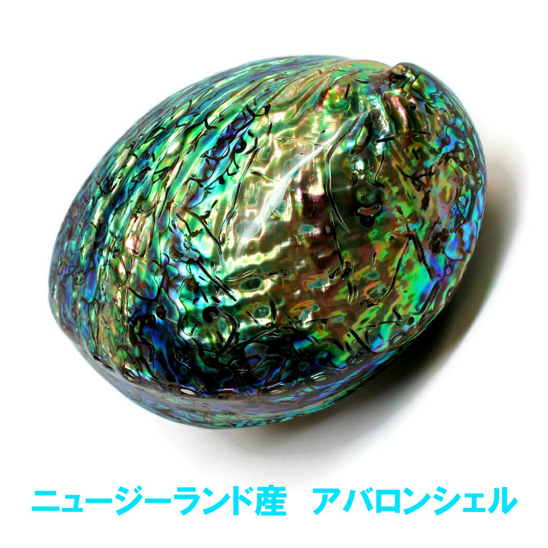 P2倍 アバロンシェル ニュージーランド産 選別済み 浄化皿 両面磨きパウアシェル abalone shell ホワイトセージ パロサントの浄化皿