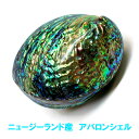 ♪ポイント2倍♪ アバロンシェル ニュージーランド産 選別済み 浄化皿 両面磨きパウアシェル abalone shell ホワイトセージ パロサントの浄化皿