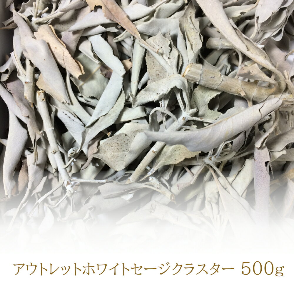 ♪30％割引セール P2倍♪ B品 アウトレット ホワイトセージ 浄化用 【500g】 無農薬 カリフォルニア産 whitesage クラ…