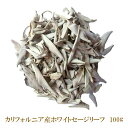 ♪P2倍♪選別済み ホワイトセージ 浄化用 【100g】 2024年1月30日入荷分 無農薬 カリフォルニア産 whitesage 高品質 枝なし リーフタイプ