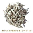 選別済み ホワイトセージ 浄化用 【20g】 2025年5月中旬入荷分 無農薬 カリフォルニア産 whitesage 高品質 枝なし リーフタイプ
