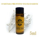 クーポン使用で10%OFF ホワイトセージ 浄化用 エッセンシャルオイル 5ml 精油 バハカリフォルニア産 純度100% 浄化 アロマ アロマオイル セージ ...