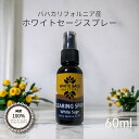 クーポン使用で10%OFF ホワイトセージ 浄化スプレー 100%純粋 バハカリフォルニア産 60ml ホワイトセージウォーター White sage お清め ...