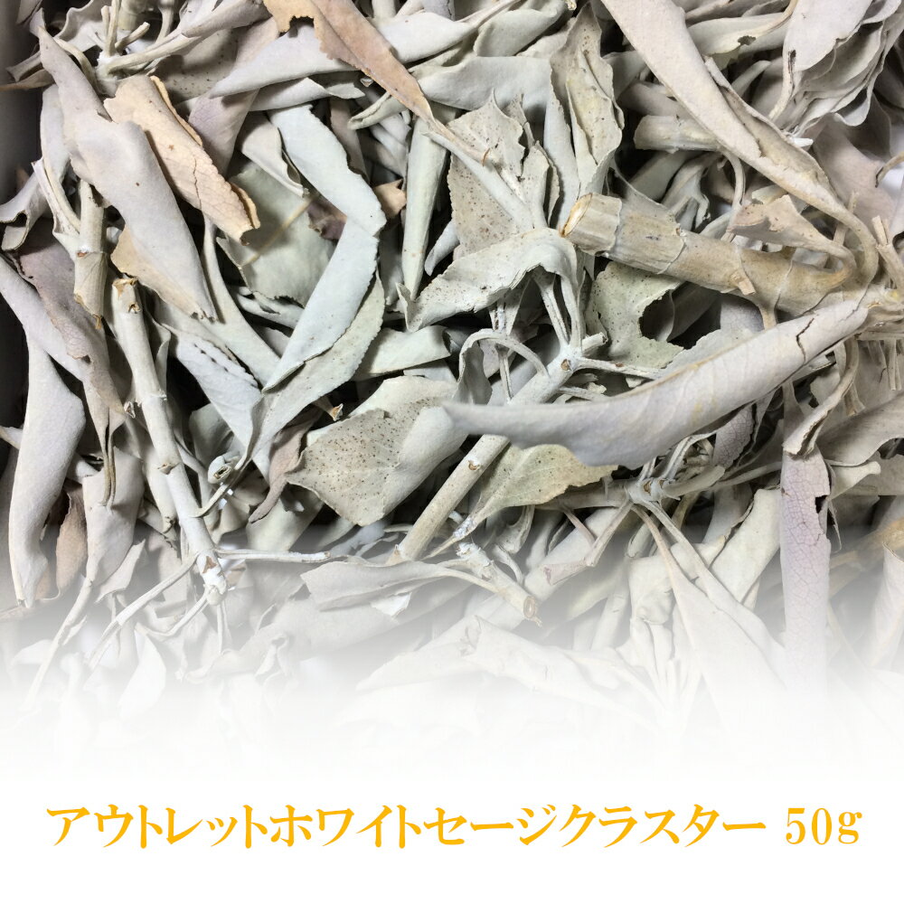 ♪30％割引セール P10倍♪ B品 アウトレット ホワイトセージ 浄化用 【50g】 無農薬 カリフォルニア産 whitesage クラ…