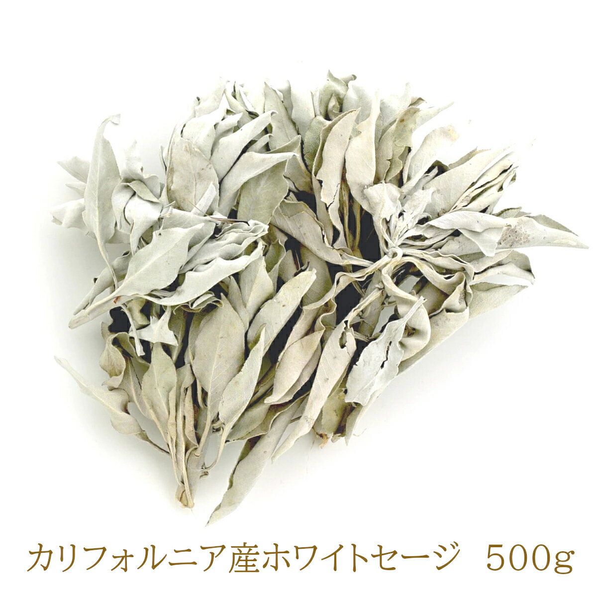 ♪楽天大感謝祭 ポイント5倍 26日1時59分まで♪ メール便送料無料 ホワイトセージ 浄化用 【500g】 2023年12月10日入荷分 無農薬 カリフォルニア産 whitesage 高品質 選別済み クラスタータイプ（枝付きリーフ）のサムネイル