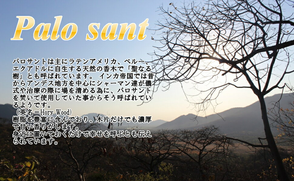 送料無料パロサント香木スティック【50g(4~12本)※太さ指定可】浄化用palosantペルー産選別済み2021年9月入荷分高品質直輸入