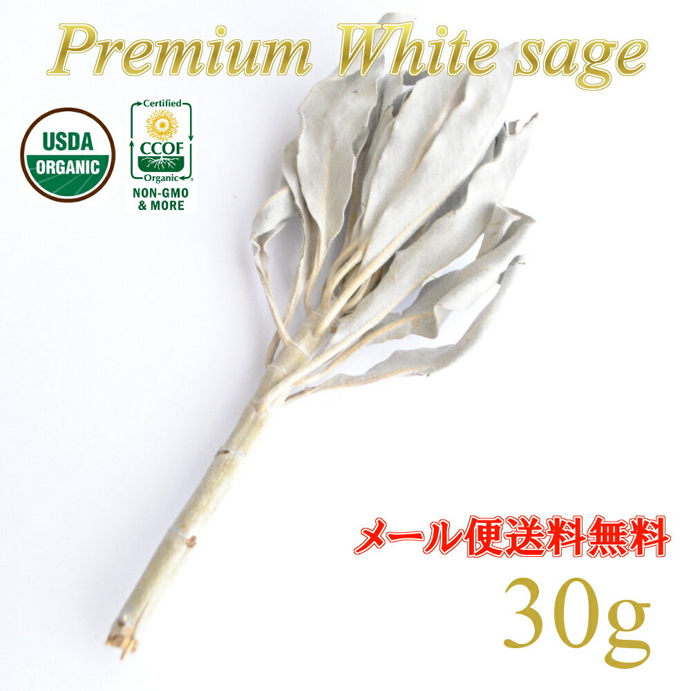 ♪P2倍♪ メール便送料無料 プレミアムオーガニックホワイトセージ 浄化用 USDA CCOF認証 有機栽培 カリフォルニア産 クラスタータイプ（枝付きリーフ）30gのサムネイル