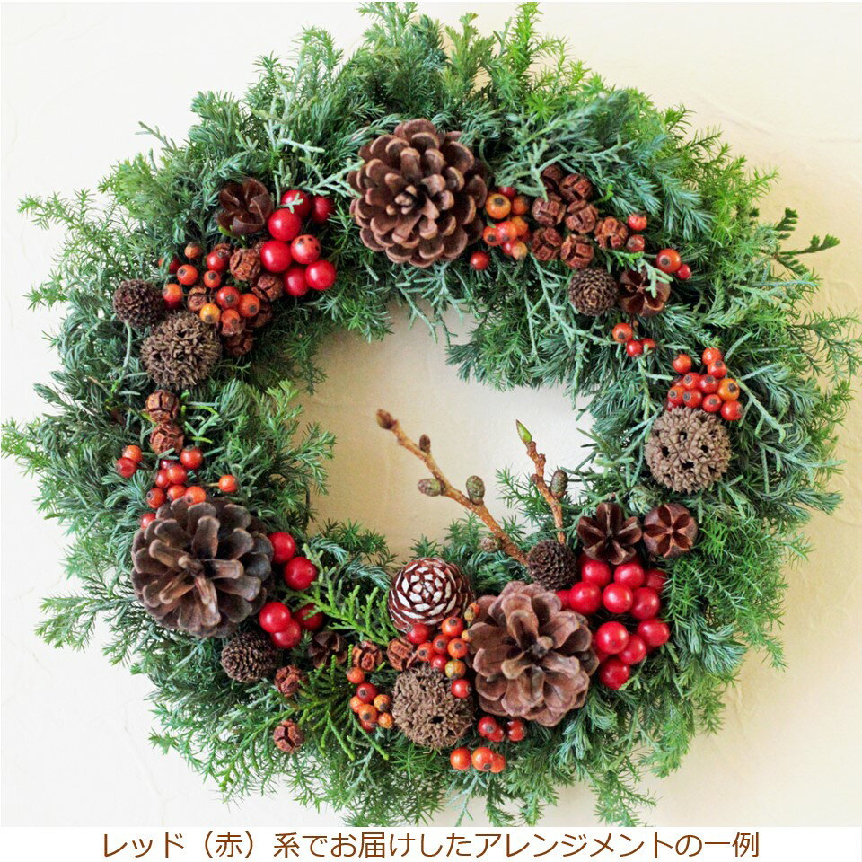 クリスマスリース 玄関 大きい フレッシュ リース 生花 クリスマス 北欧 ナチュラル 飾り おしゃれ レ..