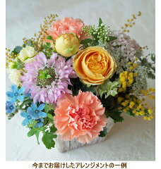 https://thumbnail.image.rakuten.co.jp/@0_mall/beautiful-boy/cabinet/photo10001000/berry10001000/berry-yellow-1.jpg