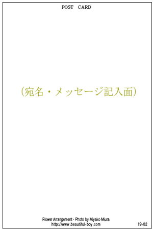 BeautifulBoyオリジナルポストカード13種類+2枚おまけ付き15枚セット