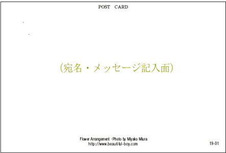 BeautifulBoyオリジナルポストカード13種類+2枚おまけ付き15枚セット