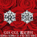 【GIA・CGL鑑定書付】【高品質ダイヤモンドの代名詞】天然ダイヤモンド ピアス 0.501ct×0.500ct Dカラー VS2 3EX H&C プラチナ95...