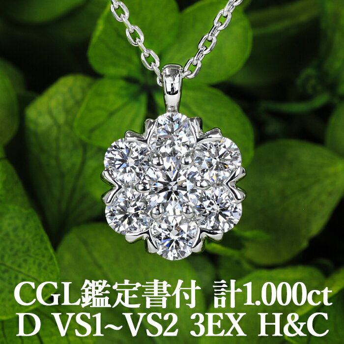 奨꡼ The Brilliantŷ 1.000ct D顼 VS12 3EX H&C CGL ץ950 / ȥץ륨 ϡȥɥ塼ԥå ͥå쥹 PT950 1ct 1å