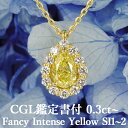 ペンダント 【ファンシーインテンスイエロー 0.3ct～】天然イエローダイヤモンド ペアシェイプ ペンダント FIY SI1～SI2 CGL鑑定書付き K18イエローゴールド / ペアモディファイド ネックレス 一粒 婚約 エンゲージ 18K 18金 0.3ct