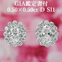 【オーバルカットピアス】天然ダイヤモンド 0.50ct×0.50ct Dカラー SI1 GIA鑑定書付 プラチナ950 / イヤリング加工可能 一粒 PT950 1ct 1カラット