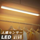 人感センサー LED ライト センサーライト 高感度 自動点灯 フットライト USB 充電式 間接照明 人感センサーライト LEDセンサーライト 人感 屋内 室内 クローゼット 玄関 廊下 照明 足元灯 マグネット 磁石 非常灯 壁掛け照明 防災グッズ 消灯 省エネ 設置便利 小型 かわいい