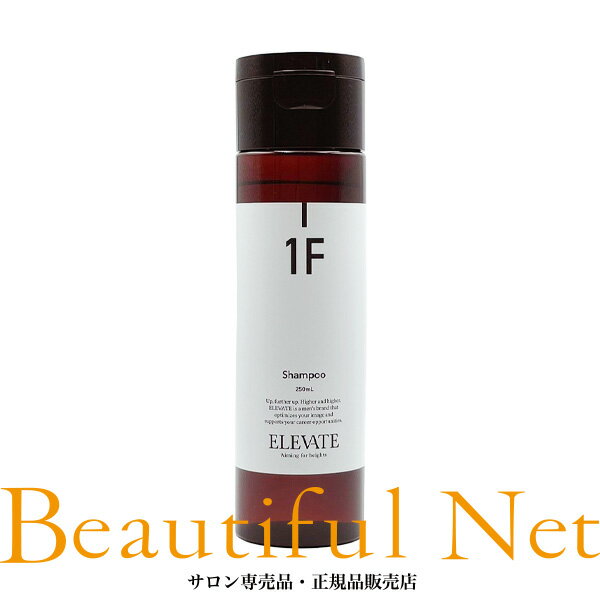 楽天ビューティフルネット楽天市場店デミ エレベート シャンプー 1F 250ml [DEMI ELEVATE] メンズ ヘアケア