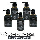 ROYD  カラーシャンプー グロッシーブラック 300ml 美容室 美容院 サロン専売 シャンプー ヘアケア 母の日 誕生日 プレゼント ギフト 引越し祝い ホワイトデー