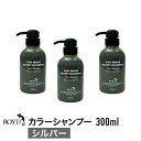 ROYD  カラーシャンプー シルバー 300ml 美容室 美容院 サロン専売 シャンプー ヘアケア 母の日 誕生日 プレゼント ギフト 引越し祝い 入学祝い