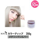 ROYD 【 ロイド 】 カラーディップ メタリックシルバー