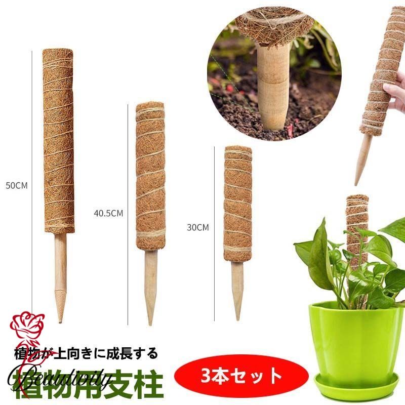 モンステラ 支柱 ココスティック 観葉植物 支柱 園芸支柱 植物 ガーデニング用 花ささえ ココナッツ支..