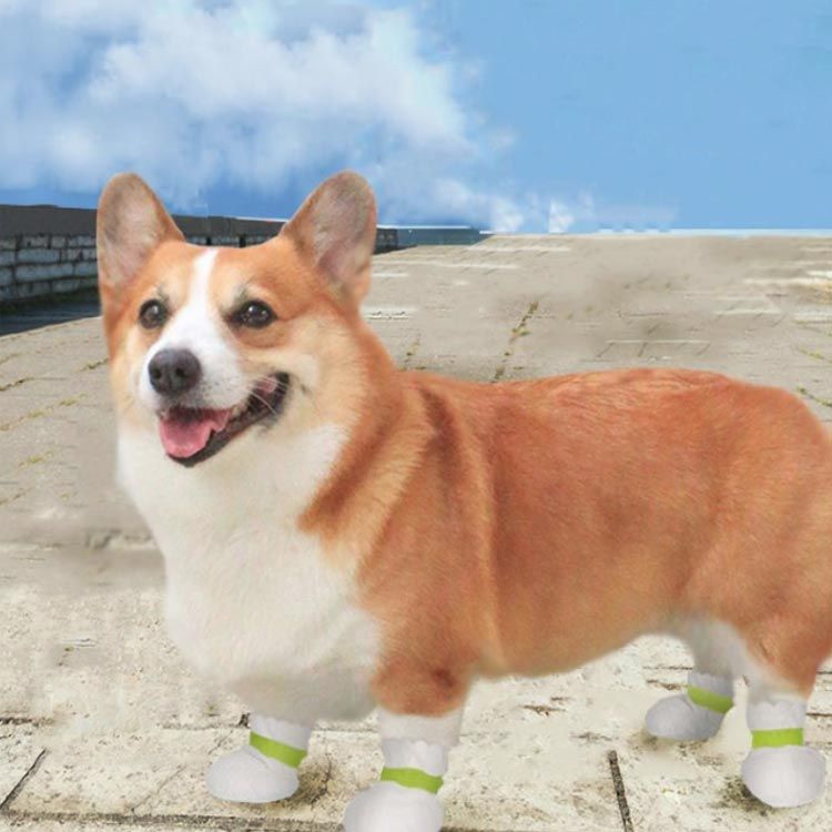 beautivityの犬用 100枚入 犬靴下 不織布 通気性 犬 滑り止め 50足 犬用靴 ドッグブーツ 肉球保護 足元の汚れ防止 靴 猫用 柔らかい 軽い 使い捨て 伸縮粘着包帯付き ペット 犬用靴下 靴 カバー 100枚入 使い捨てブーツ｜アングル3