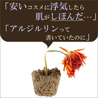 他のアルジルリン化粧品との違い