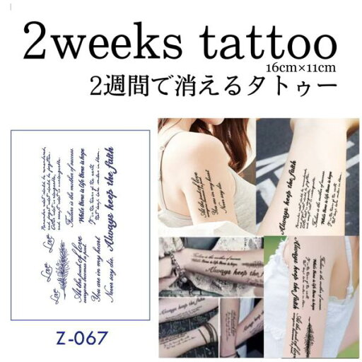 Z ジャグアタトゥーシール 2週間 タトゥーシール フェイクタトゥー メイク コスプレ ヘナタトゥー 文字 英文 Z ジャグアタトゥーシール 2週間 タトゥーシール フェイクタトゥー メイク コスプレ ヘナタトゥー 文字 英文