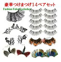 豪華つけまつげ14ペアセット お買い得 福袋 つけまつ毛 成人式 ハロウィン クリスマス パーティー イベント ポイント デザイン 羽根 紙 キラキラ かわいい...