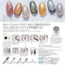 キャッツアイパウダー キャッツアイネイル ミラーパウダー 1g ミラーネイル グリッター ラメ ネイル用品 ネイル専門店 グルービーネイル ジェル ビューティーワールド ラッキートレンディ プレゼント 爪 ネイル 本格 アート 簡単 初心者 ネイリスト