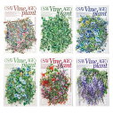 即日出荷 クリアシール 大きめ 藤の花 花柄 ラージサイズ コラージュ素材 おしゃれ 観葉植物 紫色の花 透明シール PETシール 耐水シール フラワー フレークシール 海外ステッカー 海外シール ジャンクジャーナル デコレーション 手帳 ファイル スマホ飾り ハンドメイド DIY