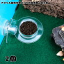 アクリル 爬虫類 水容器 餌皿 飼育 用品 ヤモリ トカゲ 樹上 ケージ 装飾 水場 餌場 登る ペット 小型 動物 蜘蛛 昆虫 プレゼント ギフト 飼育用品 ...