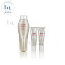 【送料無料(沖縄除く)】 資生堂プロフェッショナル ザ・ヘアケア アデノバイタル シャンプー&トリートメント セット 250ml+(130g×2本) SHISEIDO GP アデノバイタル ザヘアケア メンズ