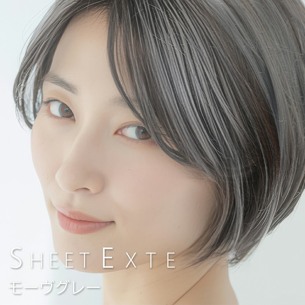 スマイルゲート シートエクステ モーヴグレー 1枚 【送料無料(全国)】 シートエクステ シートタイプエクステ 分け目エクステ ボリュームアップエクステ 白髪隠しエクステ 軽量エクステ 薄い 薄型 軽い 軽量 自分で装着