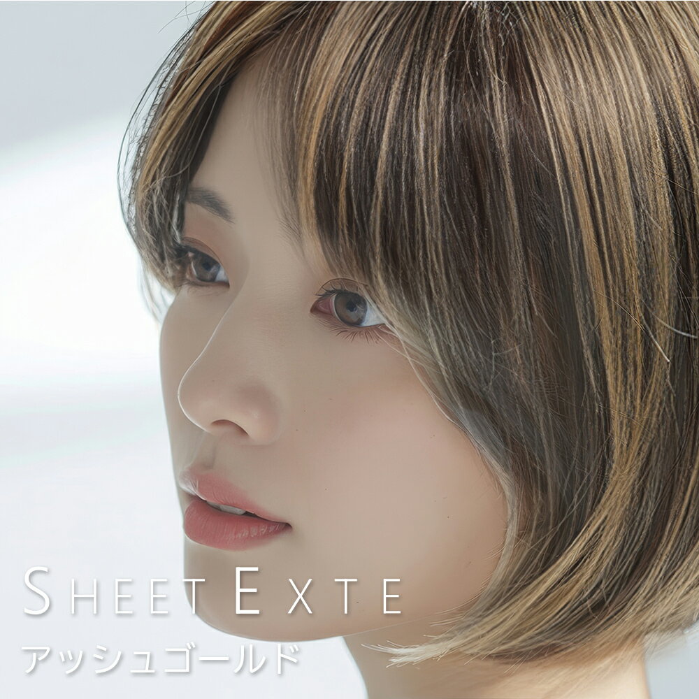 スマイルゲート シートエクステ アッシュゴールド 1枚 【送料無料(全国)】 シートエクステ シートタイプエクステ 分け目エクステ ボリュームアップエクステ 白髪隠しエクステ 軽量エクステ 薄い 薄型 軽い 軽量 自分で装着