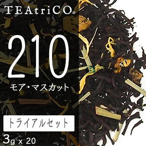 ティートリコ モアマスカット トライアルパック 3g x 20個セット (TEAtriCO) お茶 紅茶 フレーバードティー ティー セット