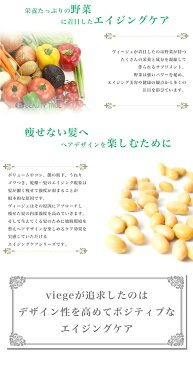 ルベル ヴィージェ シャンプー 600ml & ヘアトリートメント V 600ml & ルートケアミスト 180ml & メディケートエッセンス 100ml 送料無料(本州・四国限定) セット ビージェ くせ毛 ボリュームアップ 野菜