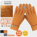 手袋 秋新作 スマホ手袋 吸湿発熱 レディース 冬 防寒 暖かい 裏起毛 柔らかい 厚手 手ぶくろ グローブ 自 母の日 プレゼント