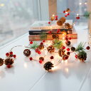 クリスマスシリーズ LEDイルミネーション 電池式 クリスマスライト LEDライト クリスマス 飾りツリー 20led led電球 2m ベリーピック 松ぼっく...