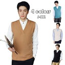 ニットベスト メンズ Vネック 袖なしセーター トップス アウター ケーブル ビジネス プルオーバー ベスト 紳士服 秋冬 オフィス カジュアル セーター カッ...
