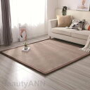 洗える カーペット 2.0バージョンアップはっ水 ラグ 低反発 厚手 リビング ラグマット ラグカーペット驚きのはっ水力!無地の色 サンゴの毛厚み30mmのもっ...