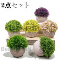 新生活 観葉植物 2点入り 光触媒人工植物 造花 高さ12cm インテリアグリーン ミニ観葉植物 おしゃれ 鉢 フェイクグリーン 人工観葉植物 インテリア お世話不要 プレゼント 引っ越し祝 新築祝 かわいい 母の日 父の日