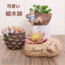 新生活 植木鉢 プランター ミニ 多肉 苔 コケリウム 苔リウム 箱庭 鉢 可愛い サボテン 多肉植物 寄せ植え 置物 インテリア かわいい 樹脂 テラリウム ...